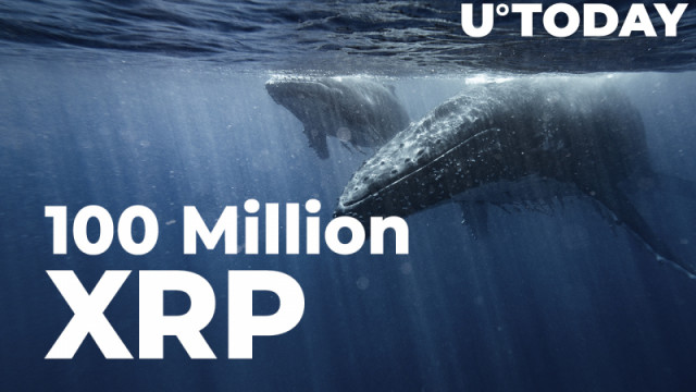 100 miljoen XRP gekocht door Whale als munt consolideert