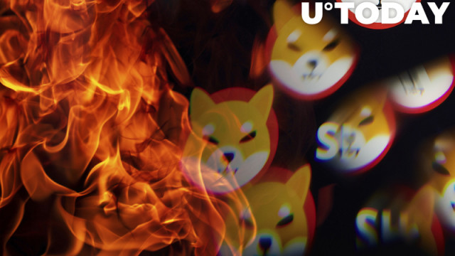 190 miljoen Shiba Inu verbrand binnen 24 uur terwijl SHIB enorme groene kaars afdrukt