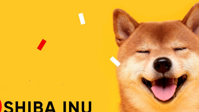 3 potentiële 100x edelstenen om op te letten! Kan SHIB omhoogschieten met deze twee NFT-tokens!