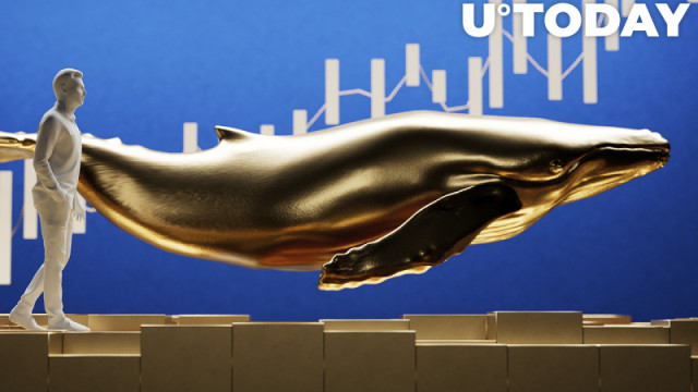 3,5 miljoen MATIC, 99.990 LINK gekocht door walvissen terwijl deze tokens op de lijst met meest gezochte crypto's komen