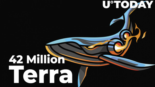 42 miljoen Terra (UST) gegrepen door walvissen: details