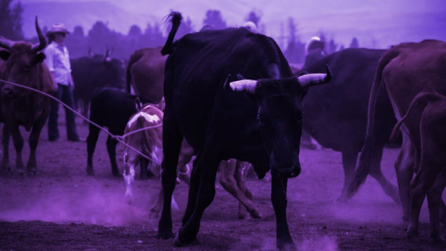 Avalanche, Ethereum leiden top 10 cryptowinsten van afgelopen week