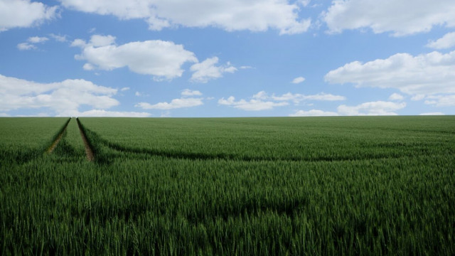 Binance Coin, Fantom, Waves Prijsanalyse: 16 maart