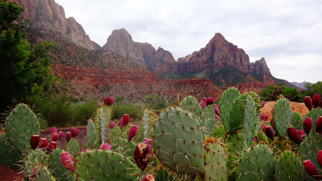 Bitcoin een wettig betaalmiddel in Arizona? Dit is waarom dat een harde noot zal zijn om te kraken