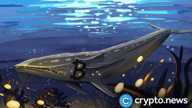 BTC-walvissen maken bewegingen terwijl de cryptomarkt worstelt om te herstellen