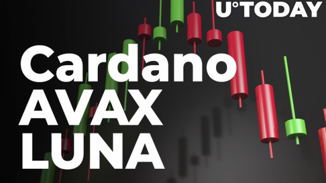 Cardano, AVAX en LUNA betreden de extreem oversold-zone, dit is wat het voor de markt betekent: