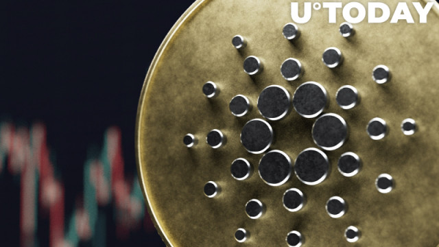 Cardano Diamond Hands: houders op lange termijn onaangedaan door uitverkoop