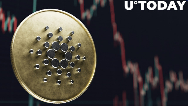 Cardano noteert 13% piek in totale waarde die wordt ingezet te midden van instroom van ecosystemen: details