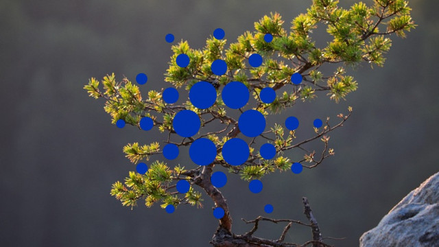 Cardano-prijsanalyse: Bullish-spreuk lanceert ADA boven $ 0,838.