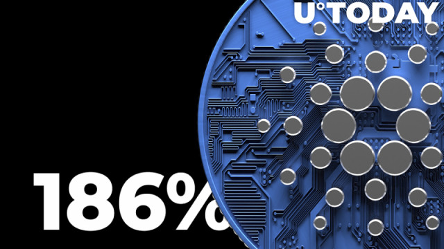 Cardano wordt geconfronteerd met een enorme toename van 186% in winkelinteresse