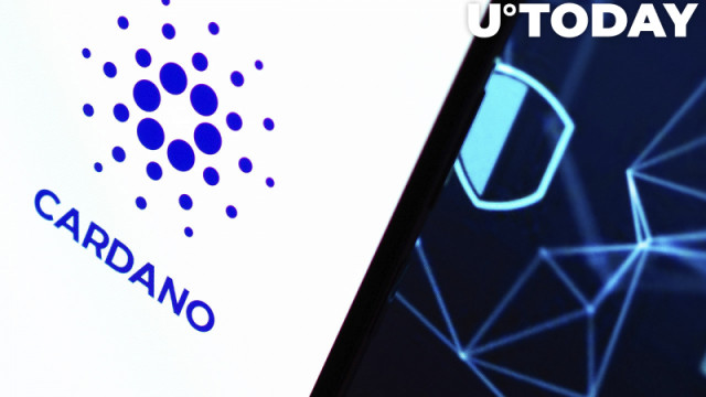 Cardano ziet aanzienlijke groei in on-chain-activiteit, aangezien nieuwe adressen 167% pieken