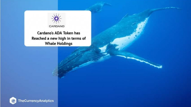 Cardano's ADA Token heeft een nieuw hoogtepunt bereikt in termen van Whale Holdings