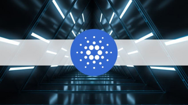 Cardano's eerste schaaloplossing op basis van ZK Rolloups ter ondersteuning van DeFi-innovatie