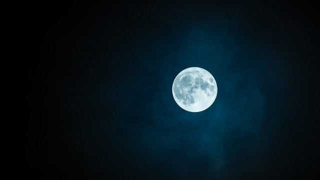 Crypto-analist 'Wolf of All Streets': Bitcoin gaat 'absoluut naar de maan'