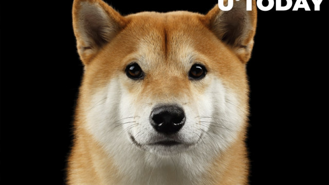 Dit is hoe het Dogecoin is vergaan sinds het een jaar geleden zijn huidige ATH bereikte