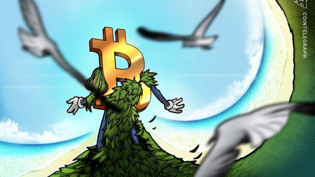 Duurzame Bitcoin-mijnwerker gebruikt afvalwarmte om hout te drogen