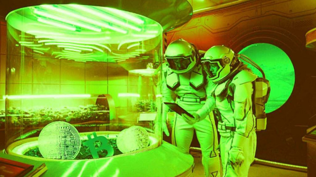 Ethereum Scaling Altcoin stijgt met 79% in slechts één week na $ 200.000.000 fondsenwerving