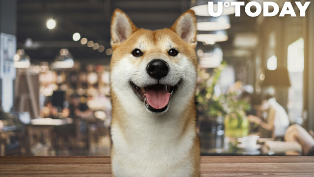 Fastfoodrestaurant met Shiba Inu-thema breidt wereldwijd uit