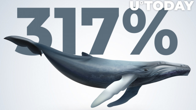 Handelsvolumes stijgen boven 317% naarmate de activiteit van Shiba Inu-walvissen toeneemt