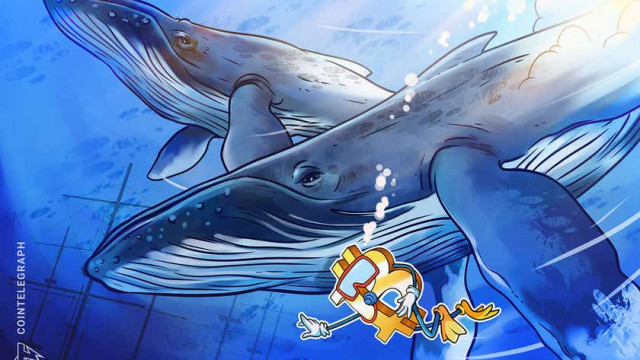 Het herstel van 30% van Bitcoin in twee weken heeft BTC-walvissen weer in accumulatiemodus gebracht