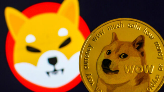 Het nieuwste partnerschap van Shiba Inu zorgt ervoor dat de gemeenschap zich niet goed voelt