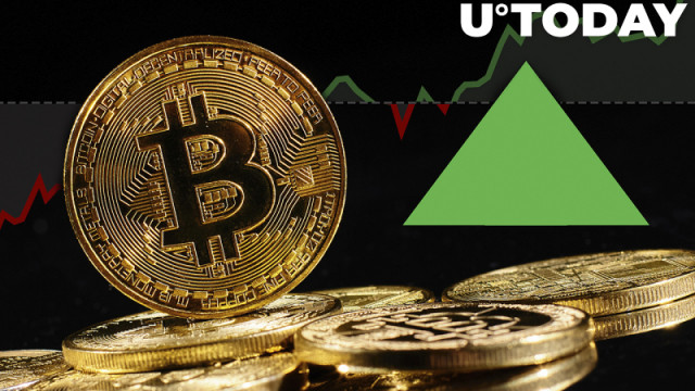 Hier is een scenario wanneer Bitcoin waarschijnlijk omhoog gaat: Peter Schiff