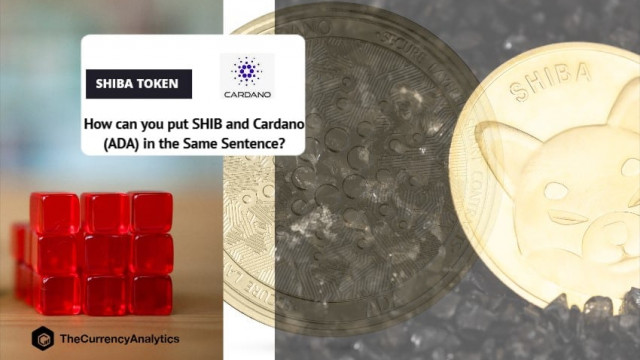 Hoe kun je SHIB en Cardano (ADA) in dezelfde zin plaatsen?