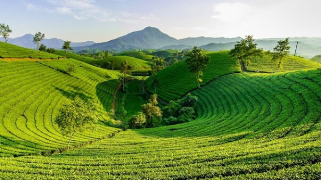 Is dit een voorstel om groene Bitcoin-mijnbouw of een marketingtruc te stimuleren?