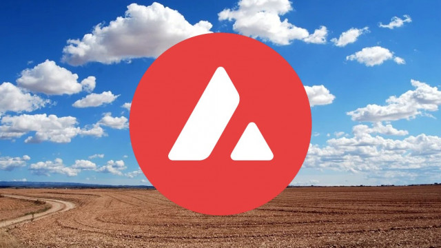 Lawineprijsanalyse: AVAX/USD bearish voor de komende 24 uur