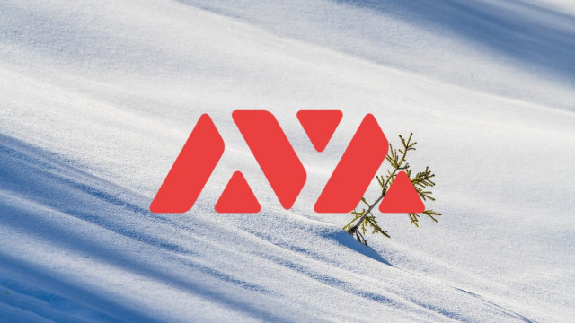 Lawineprijsanalyse: AVAX/USD bullish voor de komende 24 uur