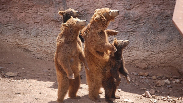 LUNA – Naar ATH of niet naar ATH; dit is wat de toekomst biedt voor de veelgevraagde alt