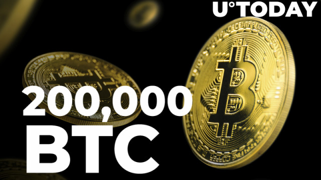 Meer dan 200.000 BTC verplaatst door walvissen te midden van Bitcoin's 18% klim