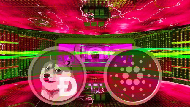 Meerderheid van Cardano (ADA) en Shiba Inu (SHIB) houders nog steeds onder water ondanks prijsstijging: IntoTheBlock