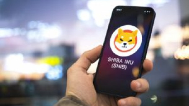 Nieuw recordaantal Shiba Inu-houders