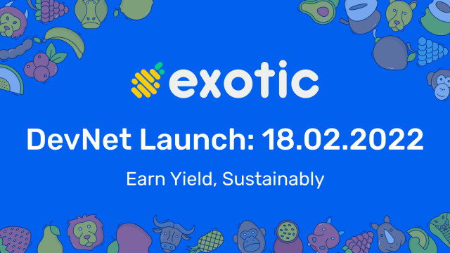 Op Solana gebaseerde exotische markten lanceren eerste dubbele valuta-biljetten en -accu's op Defi