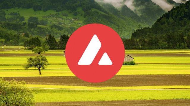 Opbrengstlandbouw met het meest potentiële AVAX-netwerk in 2022