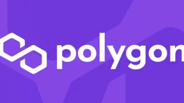 Polygoonnetwerk wordt enkele uren onderbroken na ...... een upgrade