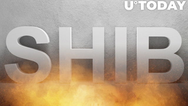 Record 25 miljard SHIB verbrand door deze nieuwe brander in 2 weken: details