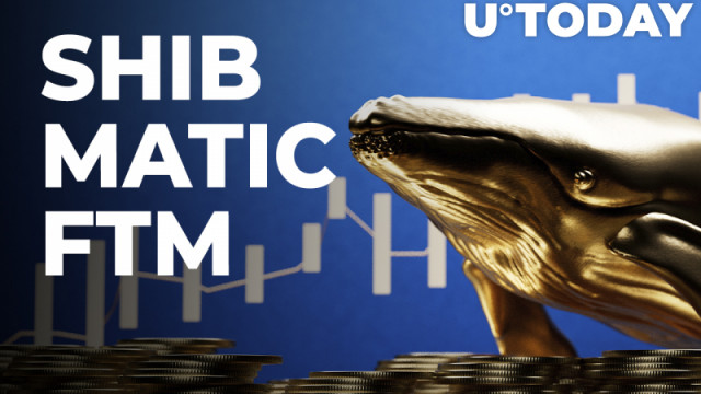 SHIB, MATIC, FTM onder topaanwinsten van walvissen in de afgelopen 24 uur: rapport