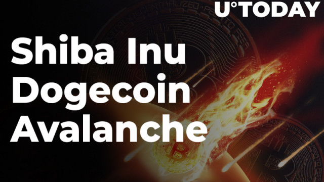 Shiba Inu, Dogecoin, Avalanche zien aanzienlijke dagelijkse verliezen terwijl Bitcoin blijft dalen