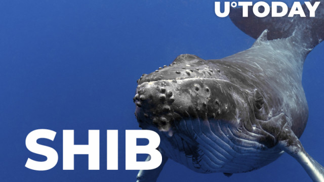 Shiba Inu Whale grijpt miljarden tokens terwijl SHIB herstelt