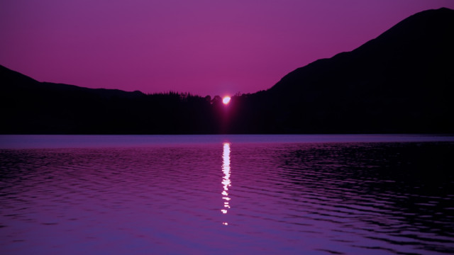 Solana om te concurreren met Venmo? Dit is wat SOL-houders moeten weten