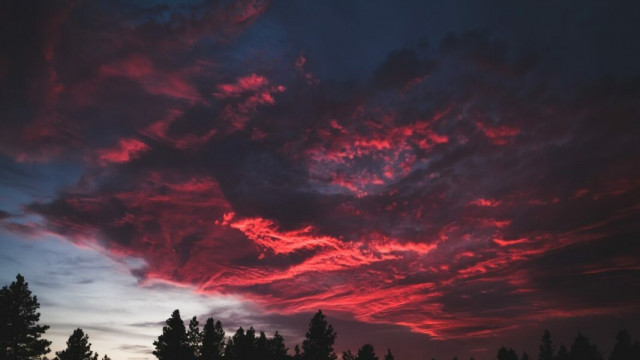 Solana ziet grootste dagelijkse verlies in top 10, maar hier is reden voor hoop