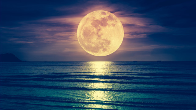 Terra-prijsvoorspelling: Luna-prijs stijgt van $ 86 lokale ondersteuning; Kan het de $ 100 overschrijden?