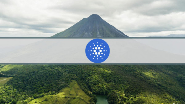 Totale waarde vergrendeld op Cardano op All-Time High, maar er is een addertje onder het gras