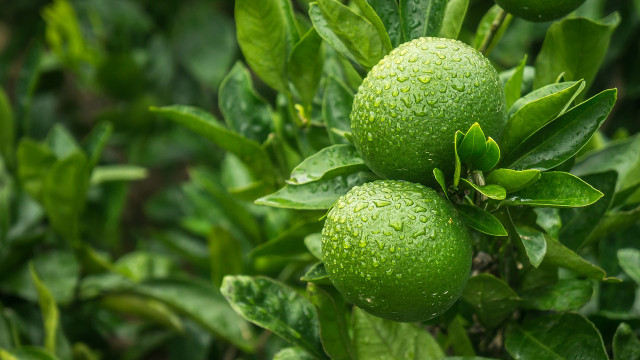 Trotseert MATIC het bredere marktsentiment vanwege het conflict tussen Rusland en Oekraïne?