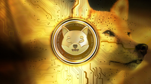 TSLA-aandelen hebben de Bitcoin-golf bereden. Nu is het tijd voor Tesla om Shiba Inu te accepteren.
