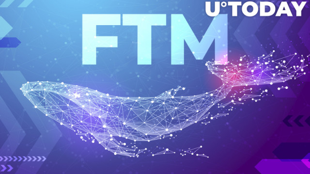 Walvissen grijpen $ 15 miljoen aan FTM, hier is waarom